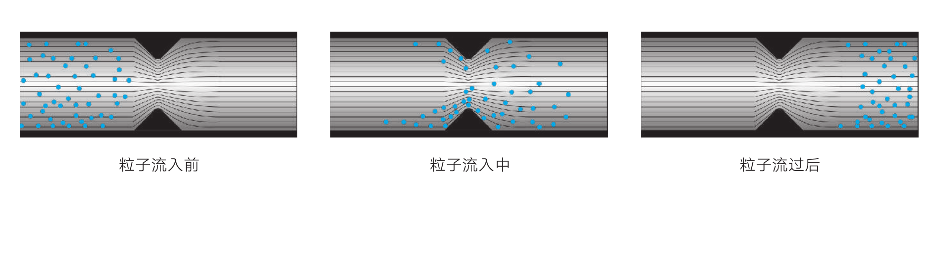 圖片3.png 圖片3.png